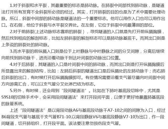 【胸腔镜篇】详述隧道法 【胸腔镜篇】详述隧道法