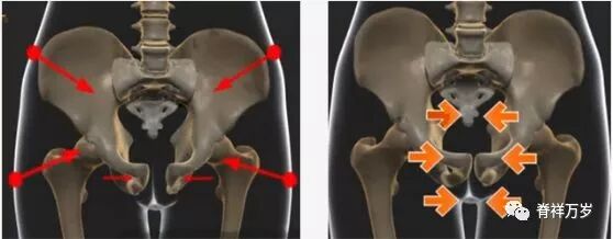 耻骨错位 脊祥万岁 微信公众号文章阅读 Wemp