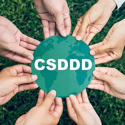 csddd3
