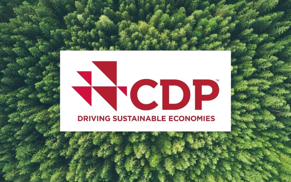 cdp-trees