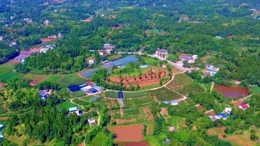 潼南太安镇建设农业科技创新承载区努力推进强村富民新实践