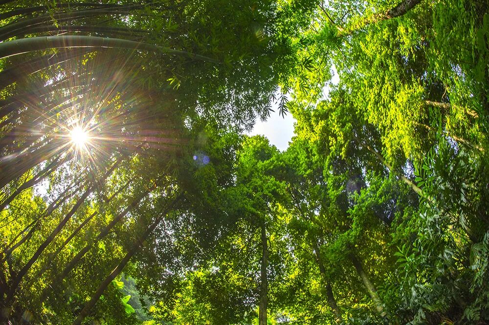 6. 08.20 金丝楠木 杨毅 33.jpg