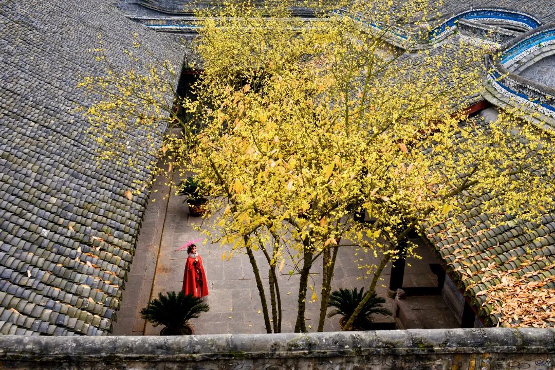 民宅古韵 叶凤英 .jpg