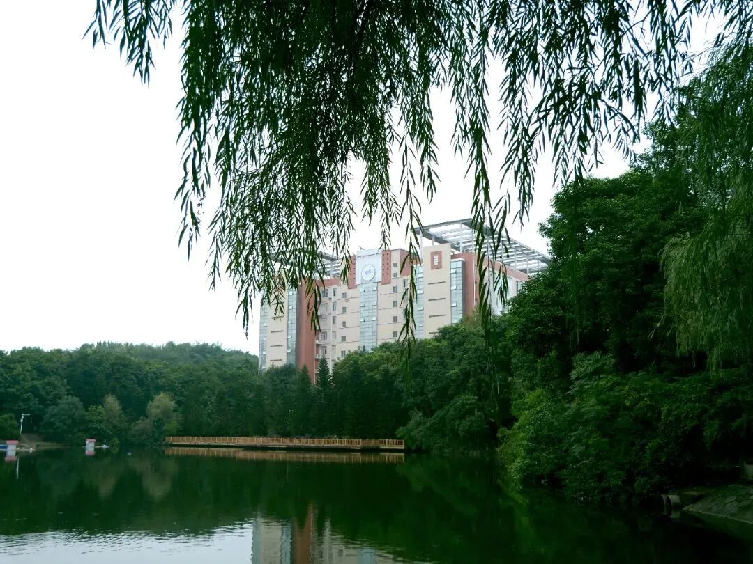 位于重庆二批次招生的师范学院
