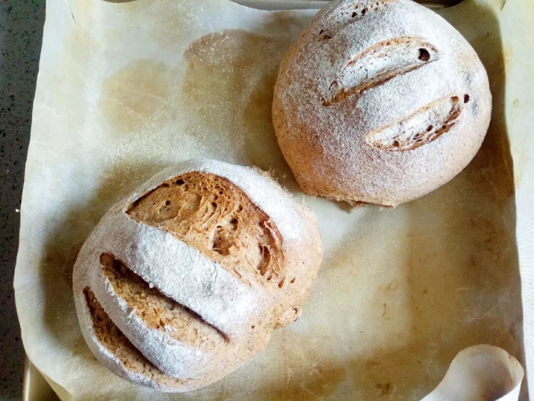 黑麦面包的做法 免揉的低油低糖面包 很不错的低热量早餐 早餐食谱大全及做法 微信公众号文章阅读 Wemp