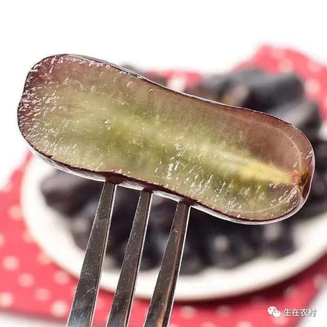 遇上这种水果别犹豫，在家就能种活，鲜甜可口，比凤梨芒果好吃