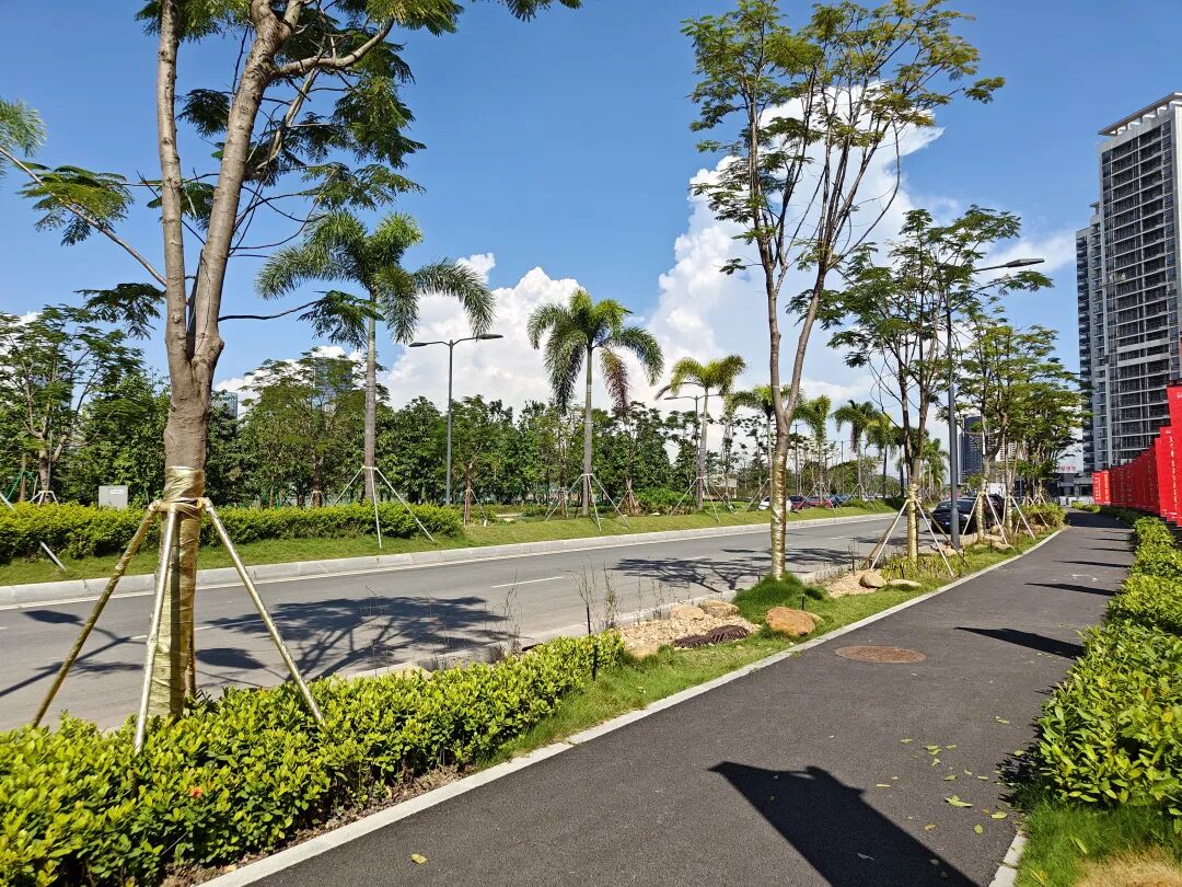 横沥岛降价了？在售楼盘最新价格是多少？