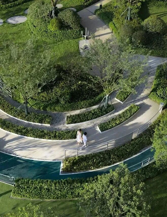 绿化行业存在的问题，你有同感吗？