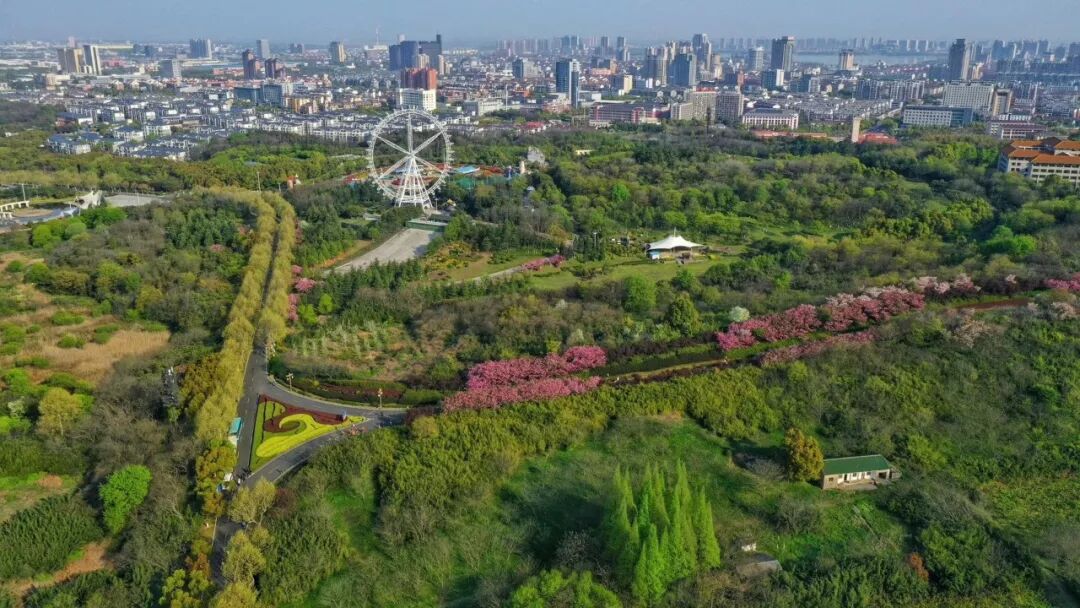 宜兴获3089万省级企业研发费用财政奖励