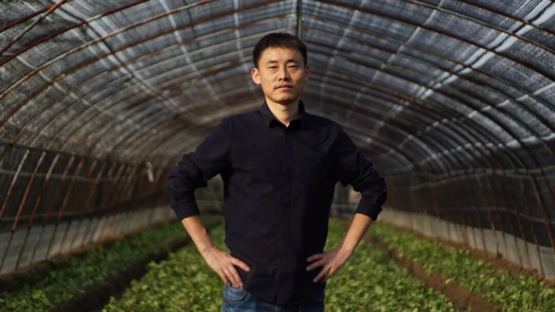 这项国家级荣誉，全省唯一的获得者是咱宜兴人！