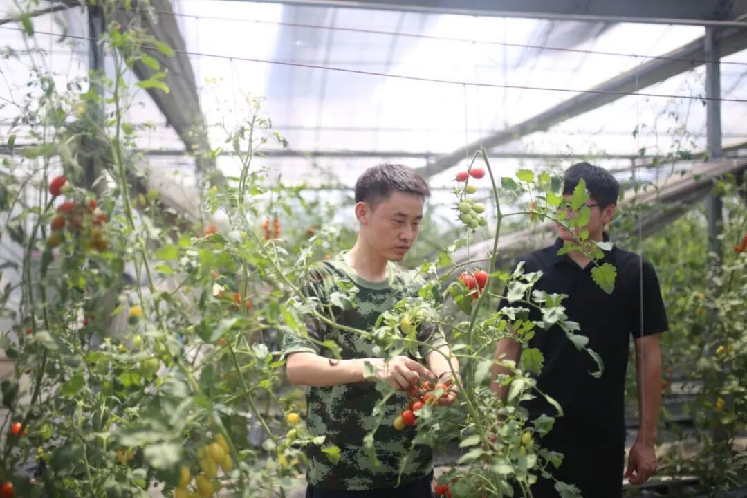 这项国家级荣誉，全省唯一的获得者是咱宜兴人！