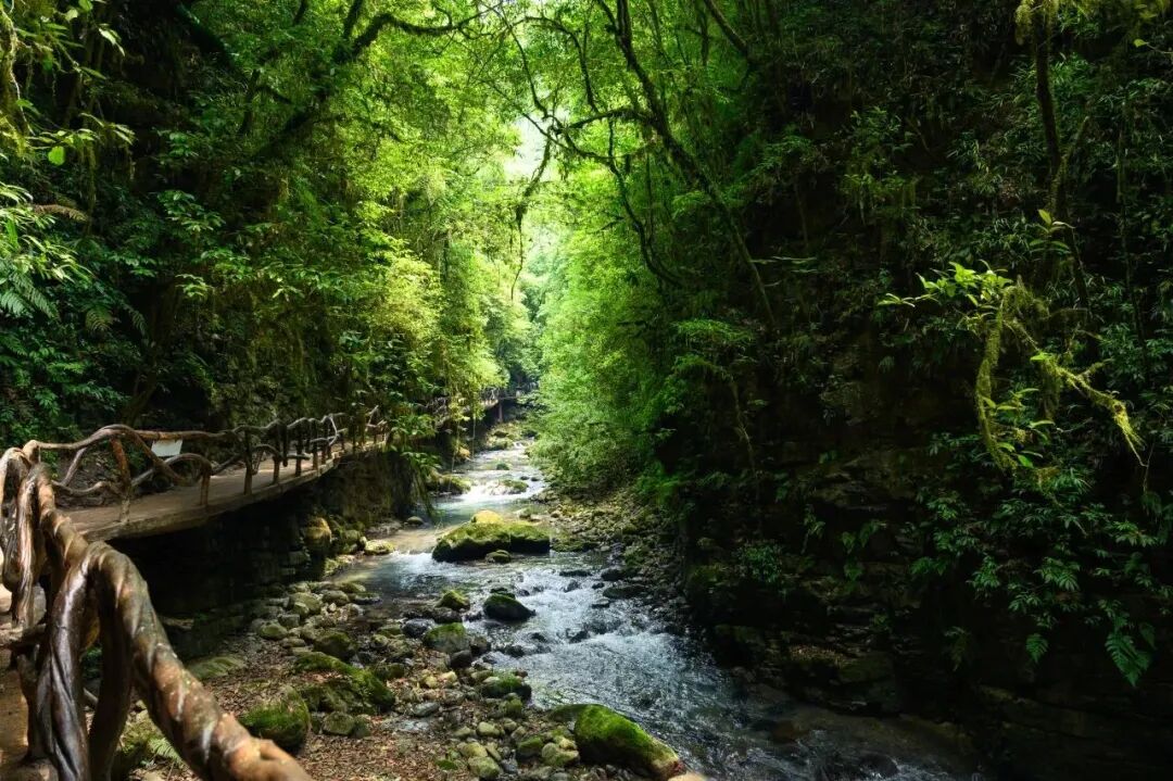 春假去哪儿？当然是来四川宣汉解锁亲子踏青新方式(图2)