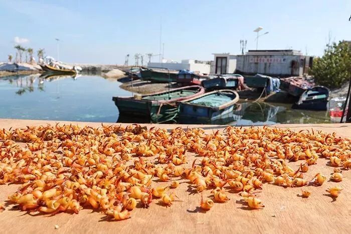 花蓮酒店推薦2019 /2019必去的15個國內小眾目的地！會玩的人已把這些地方列入旅行清單！ 旅行 第37張