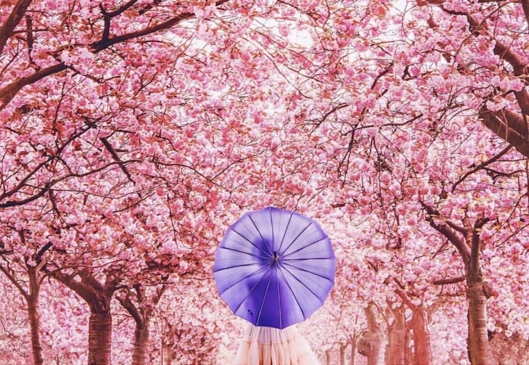 怎么可能这么简单?你也能照出最ins的大咖网红照