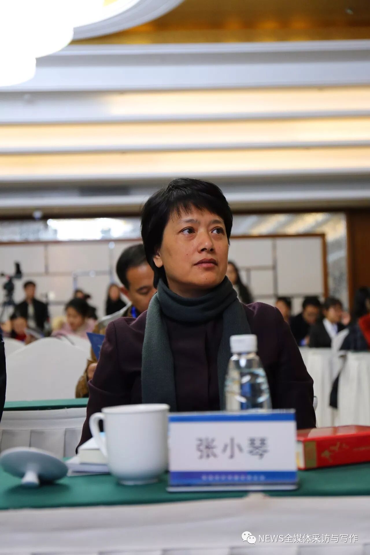 清华大学新闻与传播学院的张小琴教授