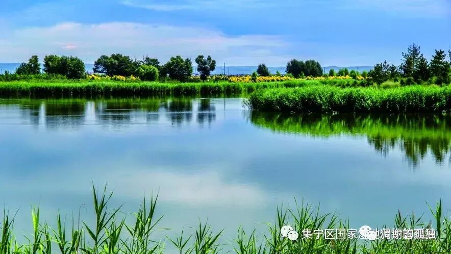 讴歌新时代，锦绣霸王河”全国文学作品征文大赛获奖名单