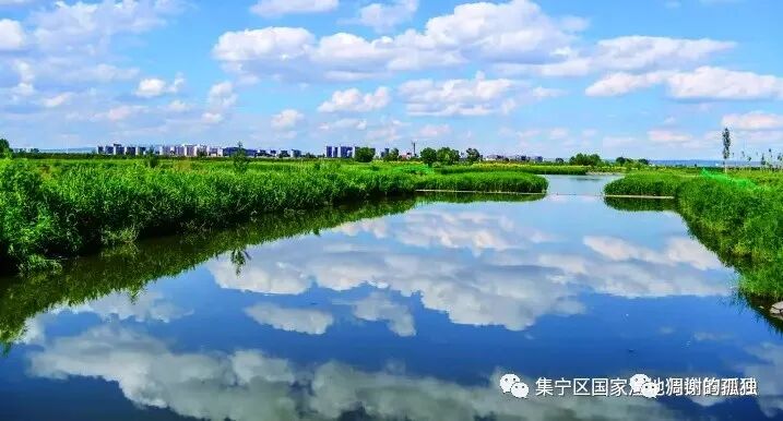 讴歌新时代，锦绣霸王河”全国文学作品征文大赛获奖名单