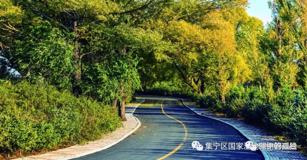 讴歌新时代，锦绣霸王河”全国文学作品征文大赛获奖名单