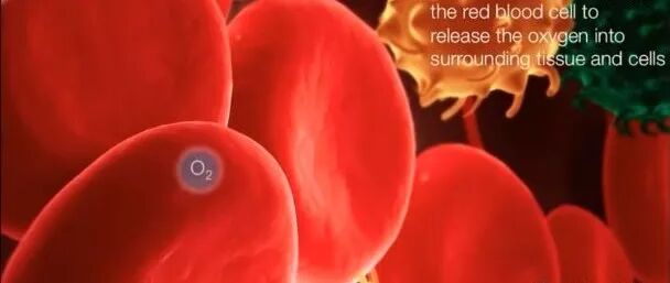 医用臭氧有什么作用“医用三氧大自血免疫疗法”具有氧化胆固醇的功能！_https://www.jmylbn.com_新闻资讯_第6张