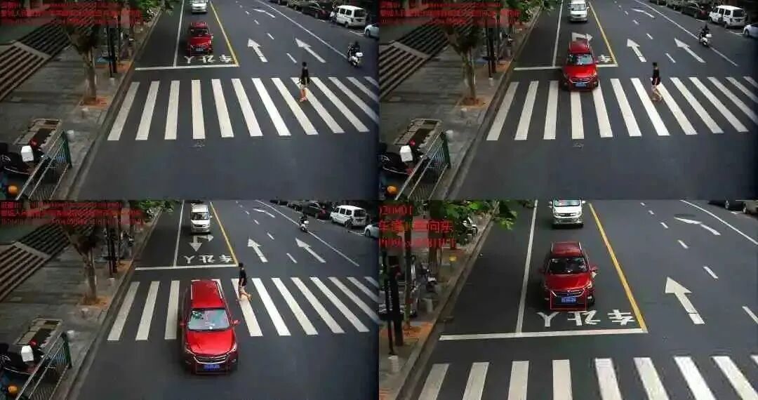 如何正确礼让行人才能不被罚款，权威发布来了！