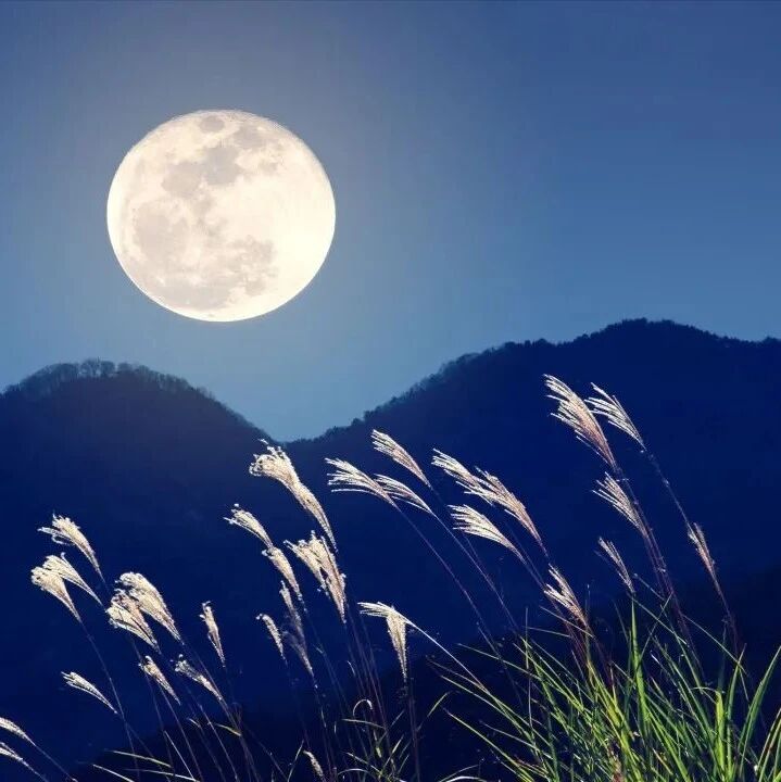 【陈玉豪】诗  路（外一首）