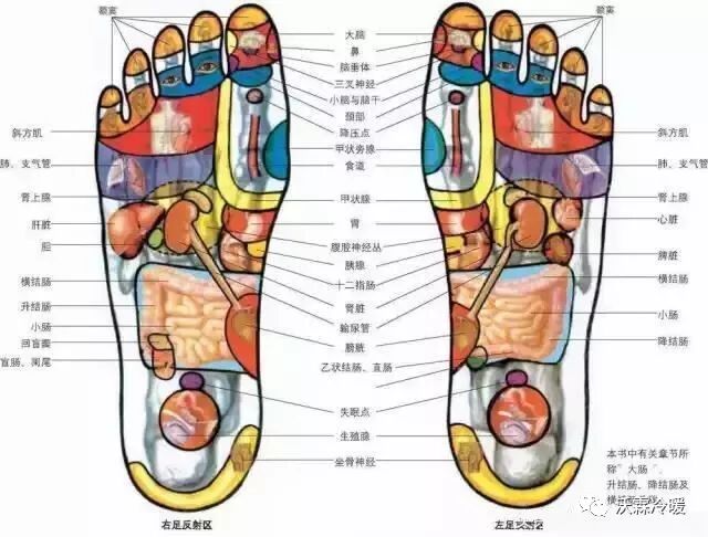 地暖地板用鋁膜_地暖適合什么地板_地暖適合用哪種木地板