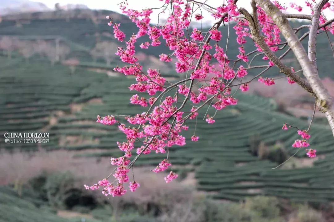 不喜歡出國？那就來看看2月份國內有哪些地方好玩！ 旅遊 第6張