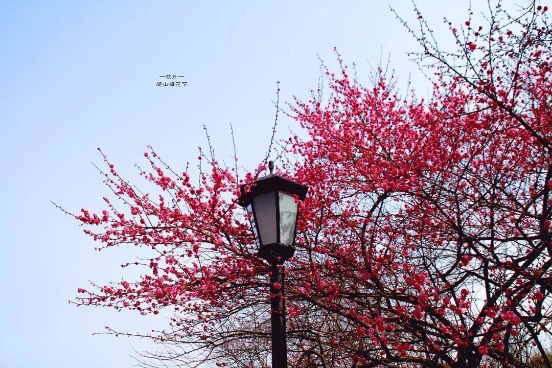 不喜歡出國？那就來看看2月份國內有哪些地方好玩！ 旅遊 第3張