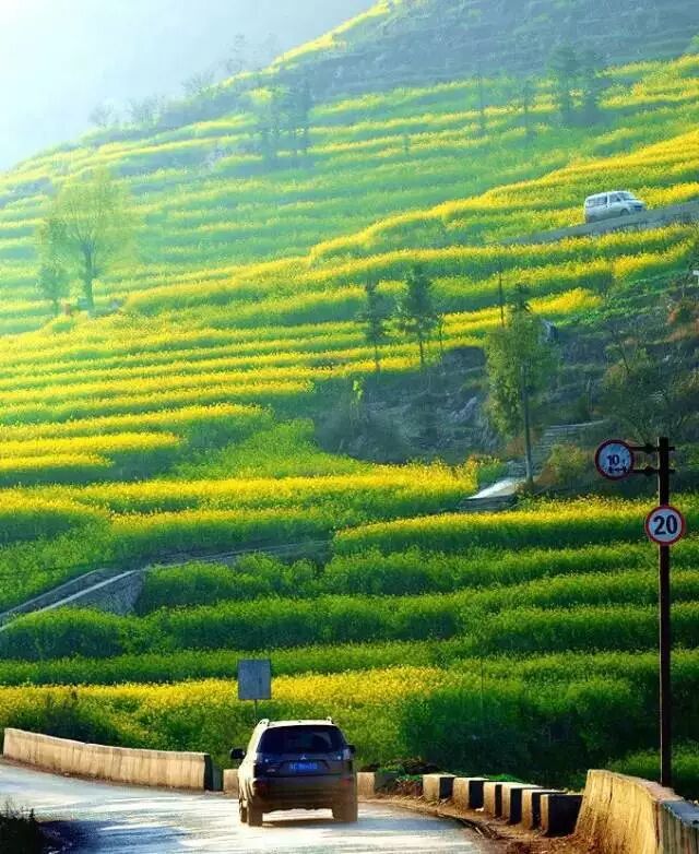 不喜歡出國？那就來看看2月份國內有哪些地方好玩！ 旅遊 第11張