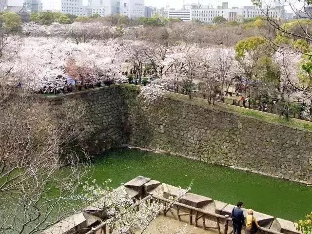 大阪有哪些值得打卡的網紅景點？ 旅遊 第10張