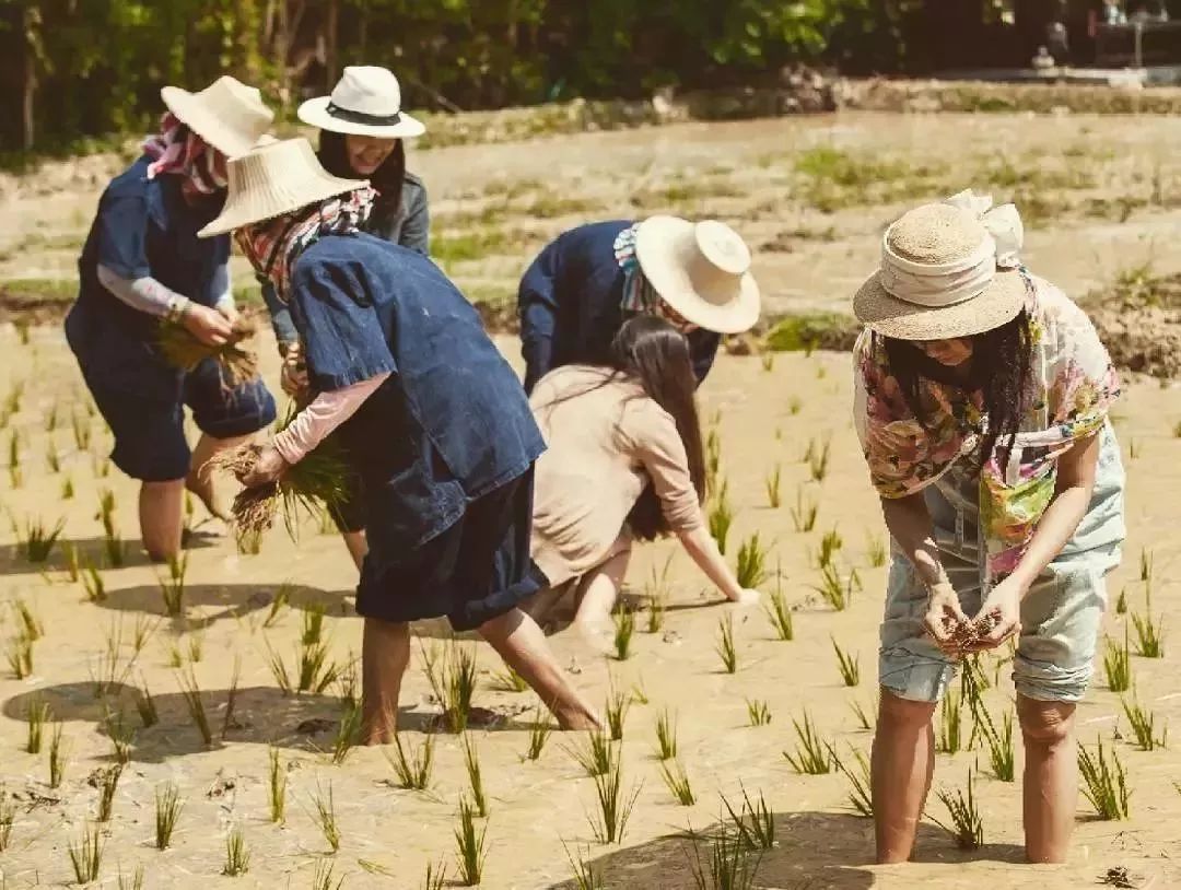 泰國攻略丨2019年泰國節慶節慶大盤點！ 未分類 第25張