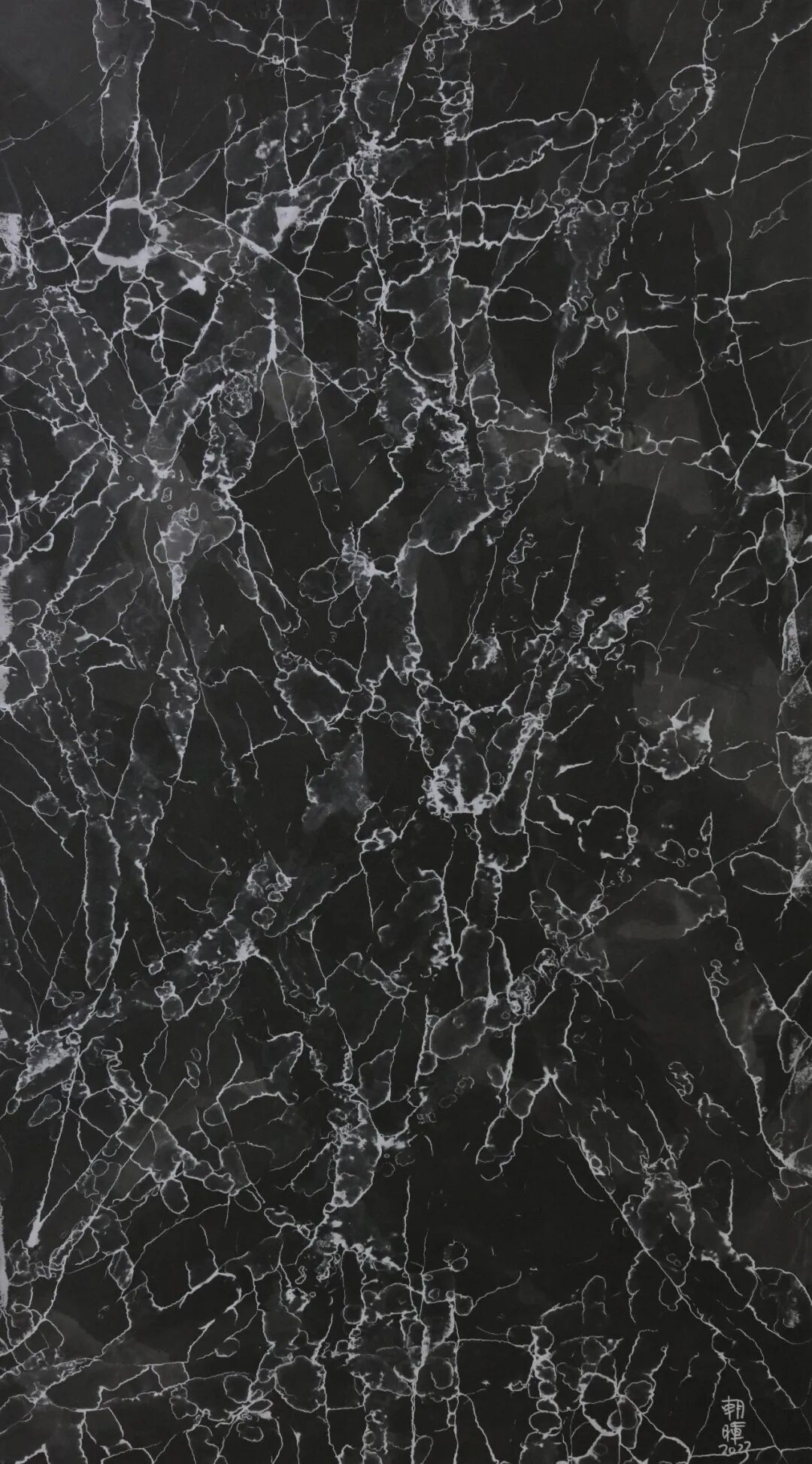 张朝晖:交织与融合|灰度 · 中国当代艺术年度档案