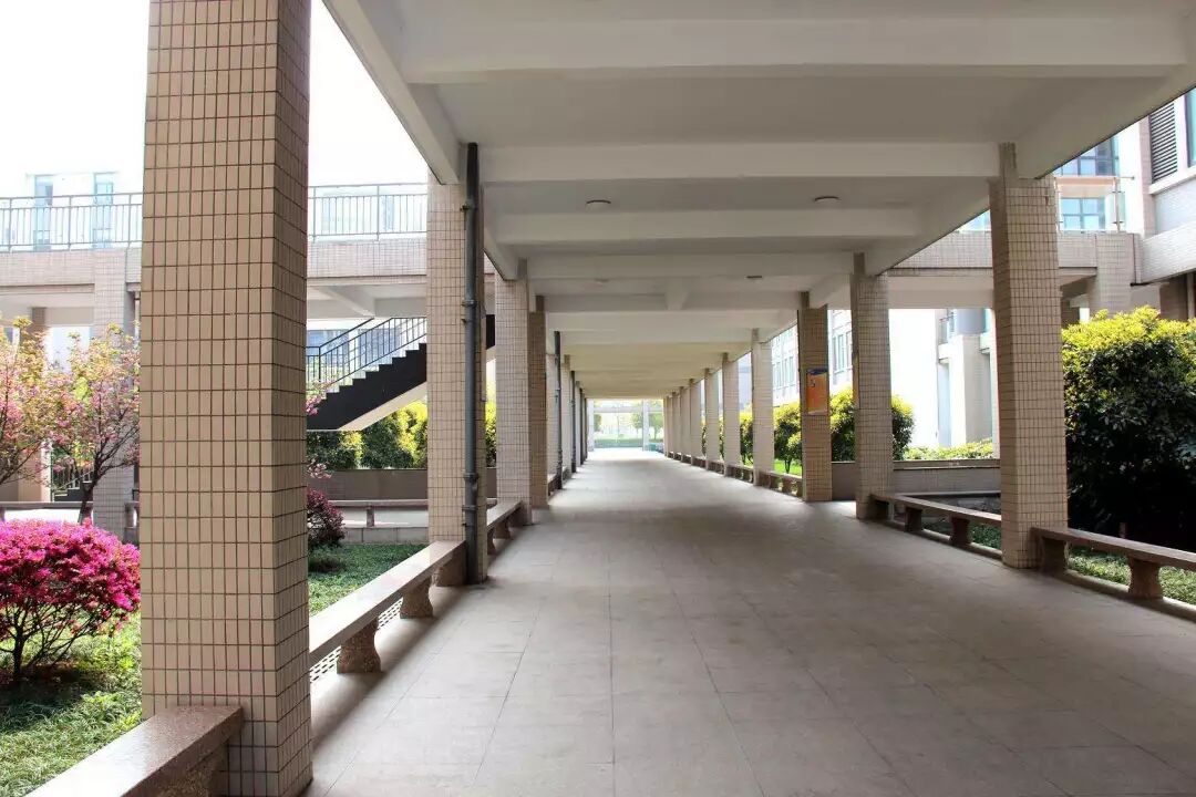 根据《规划草案》,新群上寮片区将新增中等专业学校,规划设置九年一贯