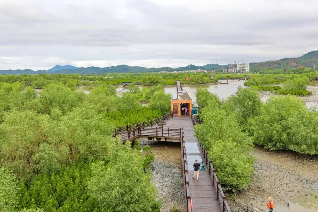 好招楼湿地公园。