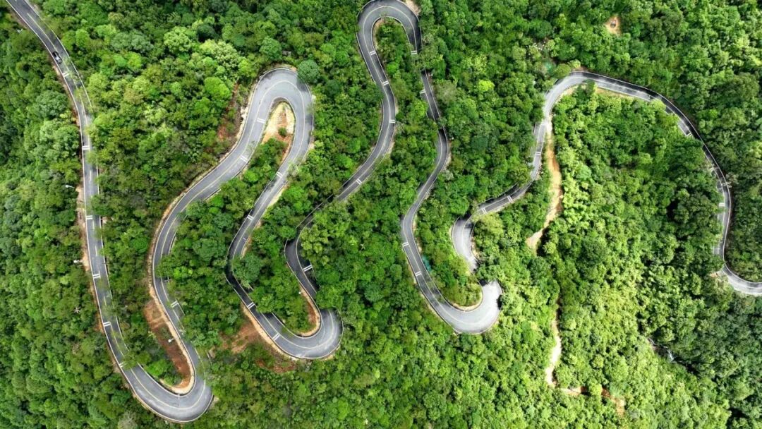 惠州218最美旅游公路。李松权 摄