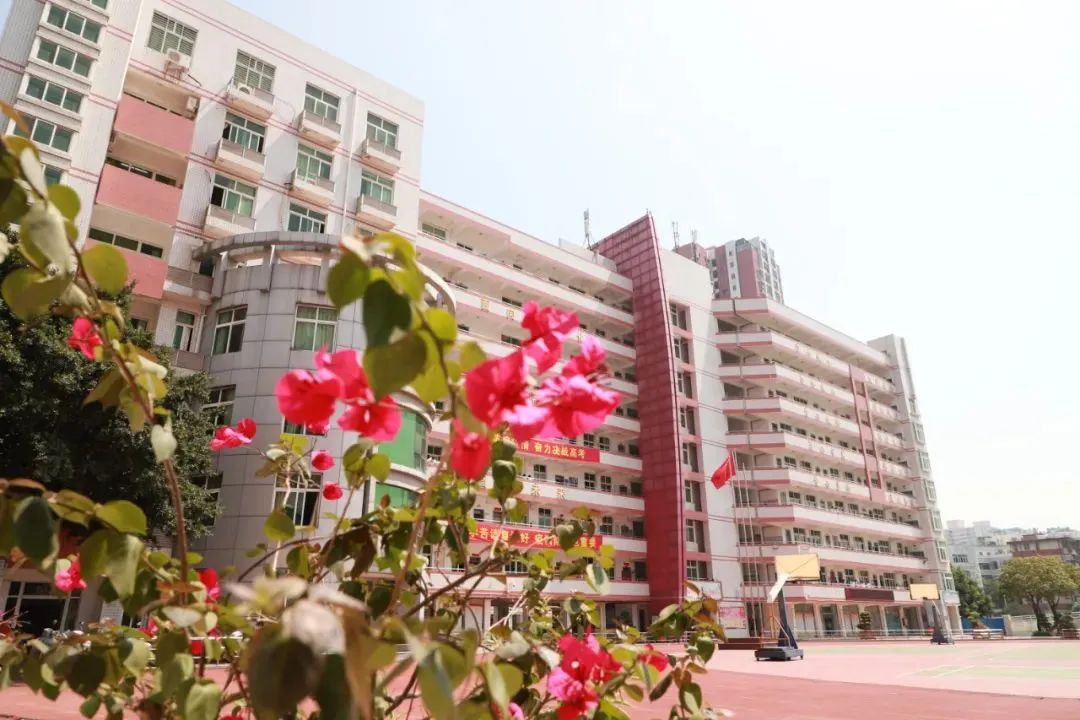 泉州现代中学小升初第二批6月24日开始报名！
