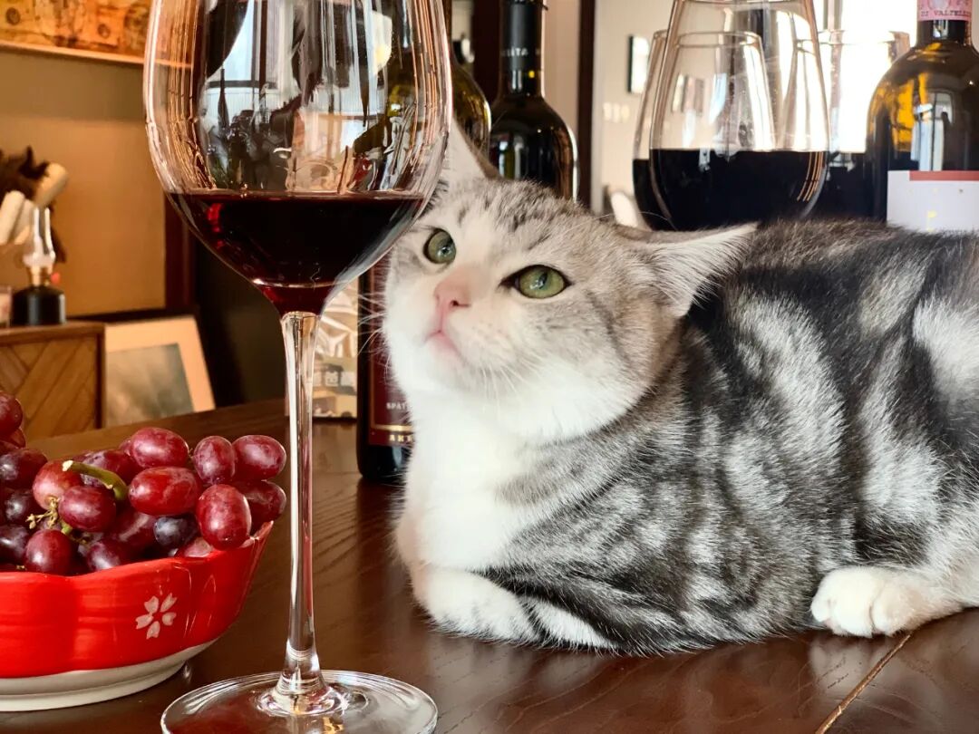 2021年千万别喝葡萄酒了，我是认真的！不信你看