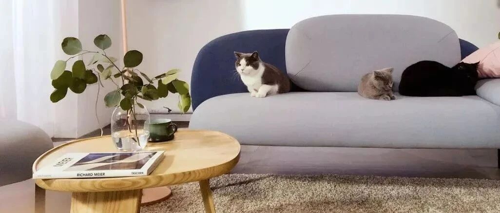 2020，流行这样的装修风格！