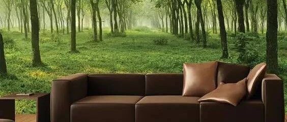 这才是背景墙，你家的只是墙！