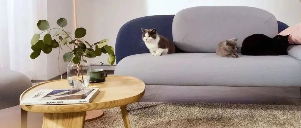 性冷淡已经Out，现在进入“盐系”时代！