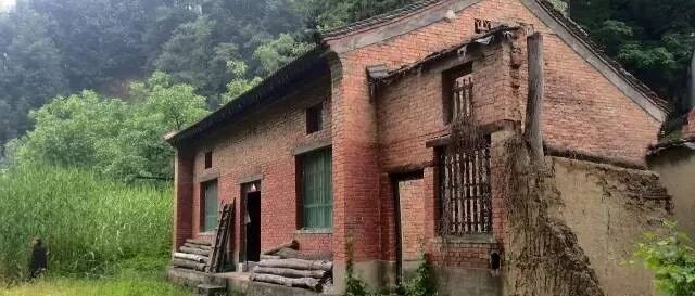 27岁姑娘一个人住进终南山，不买衣服，不用WIFI，3年后竟造出一家绝美书院！