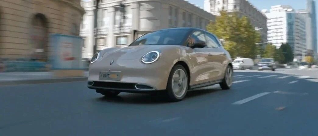 【视频】导购 | 这次走复古路线，欧拉好猫导购