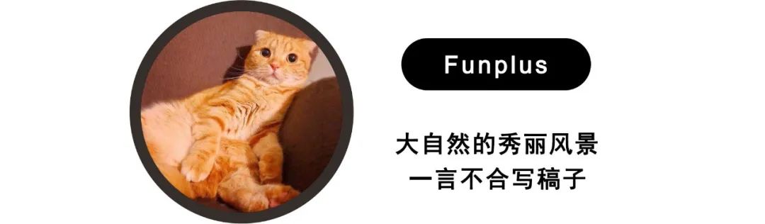 大众跑车系列图片价格_跑车大众图片系列价格表_跑车大众品牌大全