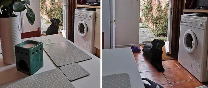 “刚搬了新家，一觉醒来，家里竟多了个陌生的访客...”