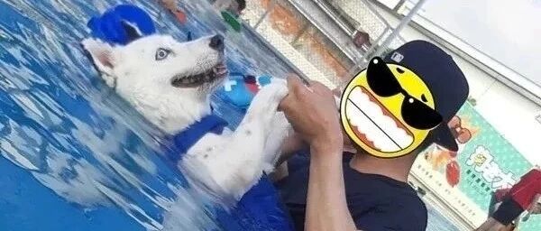 “谁说狗天生会游泳？信了你的鬼话，本狗子差点被淹死！”