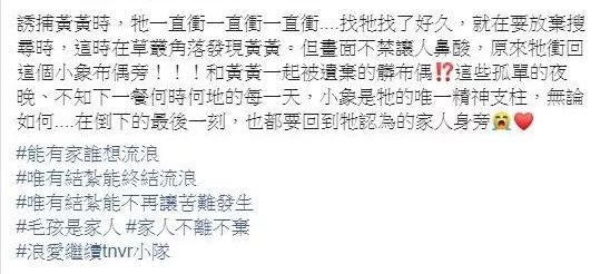 流浪狗被圍捕，中麻醉槍後，它用盡力氣逃到了一個破玩偶旁... 寵物 第3張