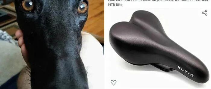 “救命啊！我家狗子长得很像自行车座怎么办...”