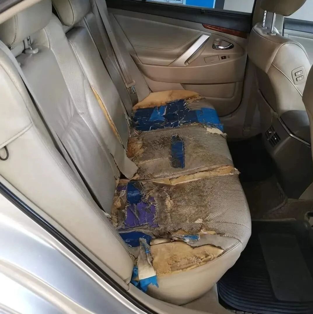 后座被爱犬拆了后，铲屎官改造金属风宝座，网友看呆了...