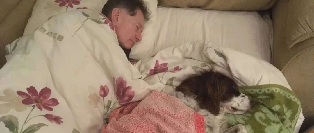 养狗时说狗只能睡在楼下，可后来...主动抱棉被挤沙发陪睡！