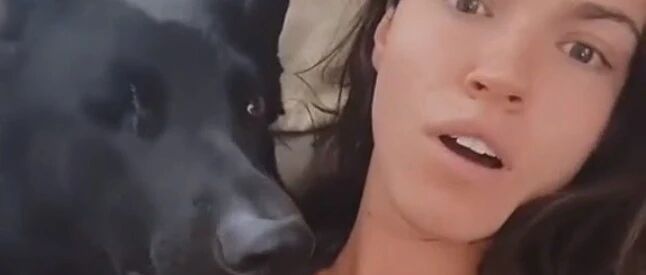 独眼大黑德牧看着很是凶悍...但实际上...这哪来的娘炮小公主！